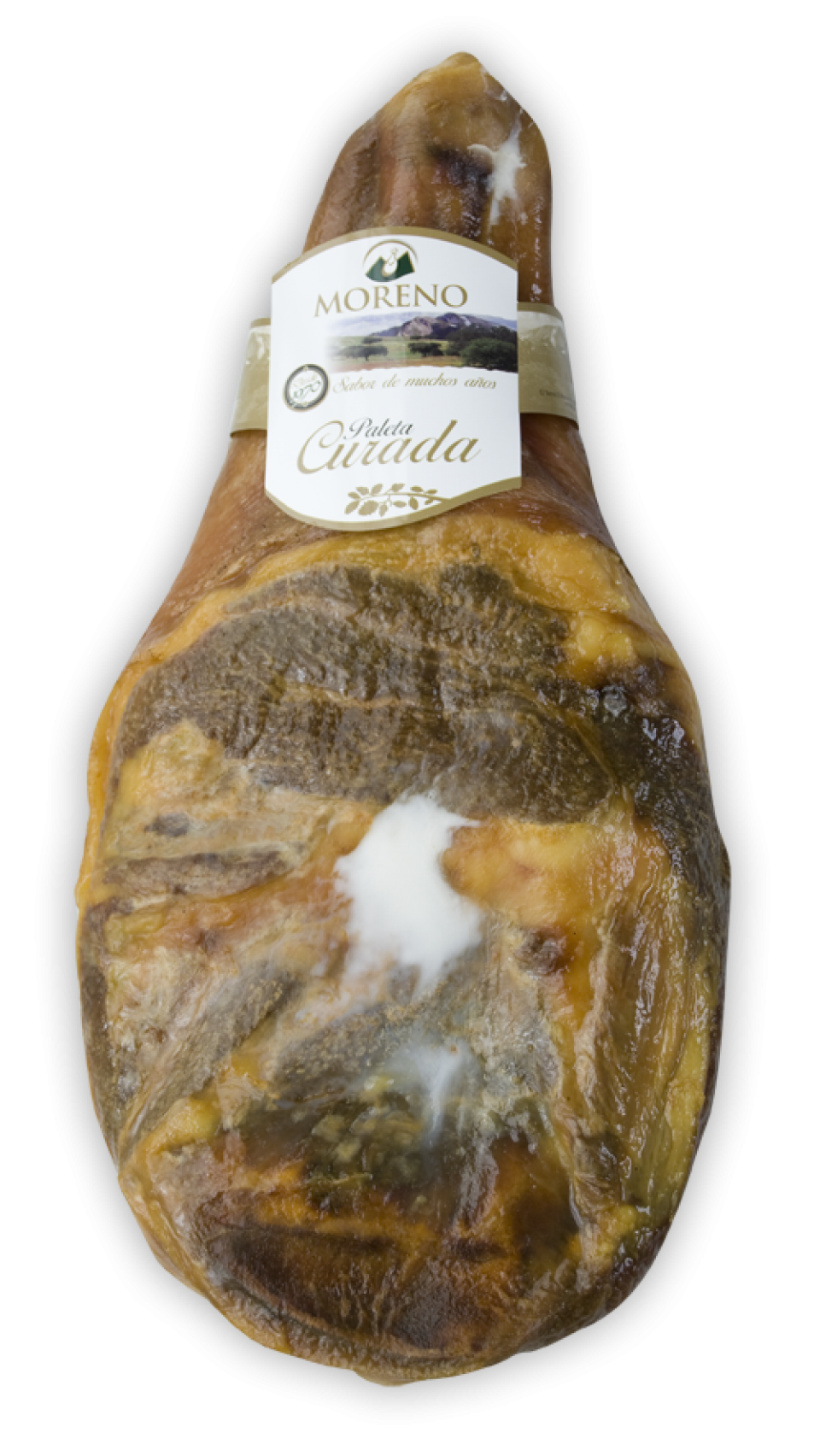 ÉPAULE CAVE / CUT “V”